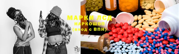 ПСИЛОЦИБИНОВЫЕ ГРИБЫ Белокуриха