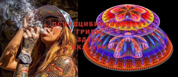 винт Богородицк