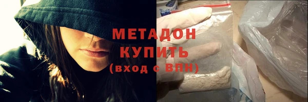 сатива Бородино