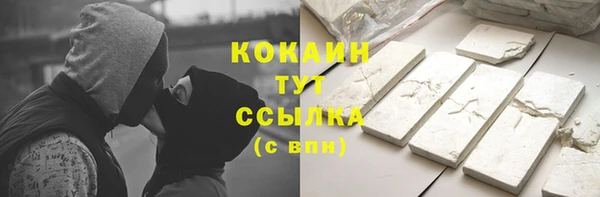 сатива Бородино