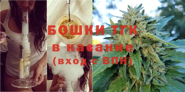 сатива Бородино