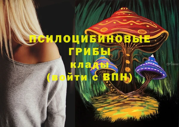 винт Богородицк