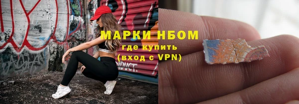 сатива Бородино