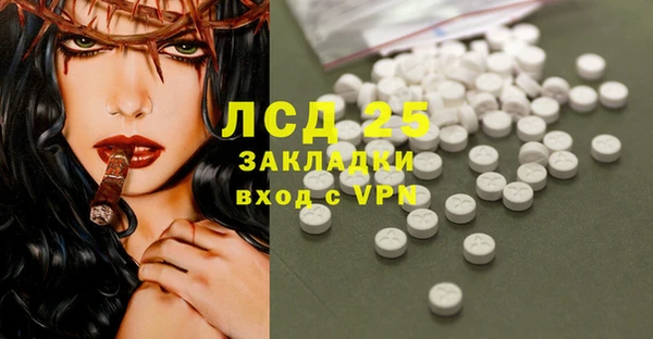 сатива Бородино