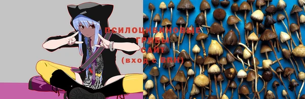 MDMA Premium VHQ Богородск
